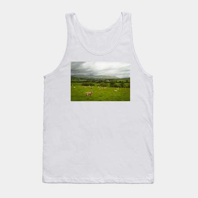 The Volatile Summer of Brecon Beacons - 2014 Tank Top by SimplyMrHill